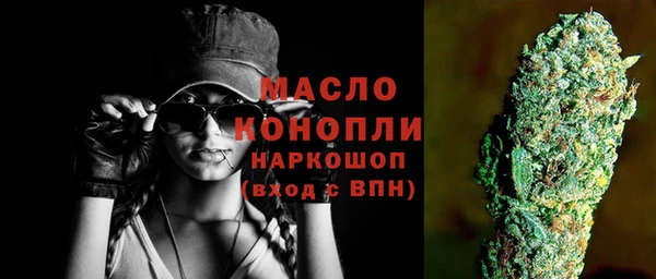 мет Новозыбков