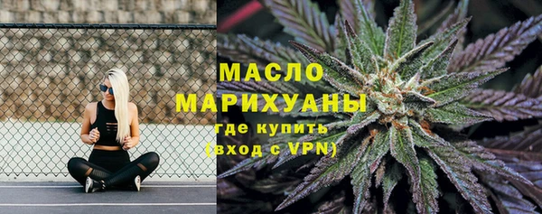 мет Новозыбков