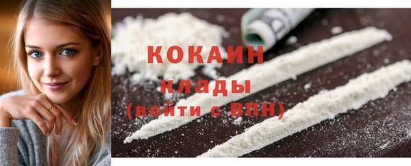 мет Новозыбков