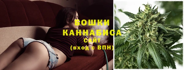 мет Новозыбков
