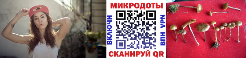 даркнет сайт  Кораблино  Псилоцибиновые грибы Psilocybine cubensis 