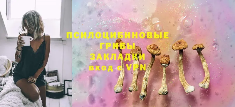 продажа наркотиков  Кораблино  omg ссылки  Галлюциногенные грибы MAGIC MUSHROOMS 